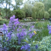 giverny-1